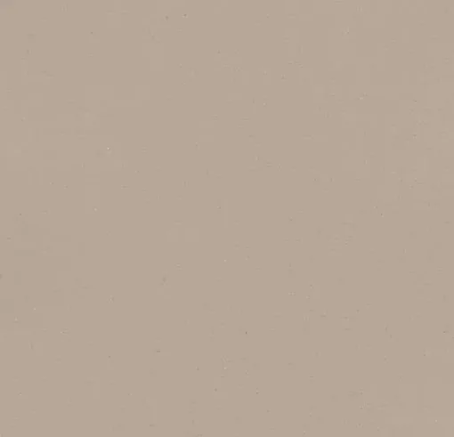 Forbo Heterogeneous Vinyl Eternal design vinyl sheet Colour