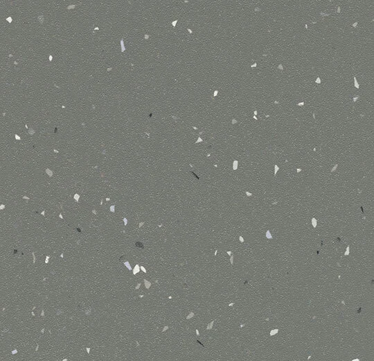 Forbo Heterogeneous Vinyl Step Safety Vinyl Star