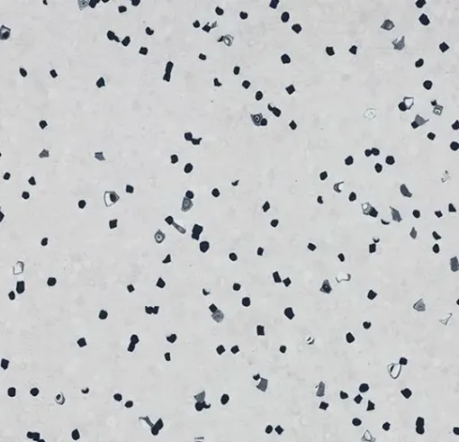 Forbo ESD and Cleanroom Solutions Sphera EC
