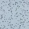 Forbo ESD and Cleanroom Solutions Sphera EC