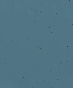 Forbo Homogeneous Vinyl Sphera Energetic