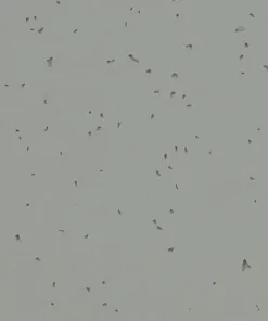 Forbo Homogeneous Vinyl Sphera Energetic