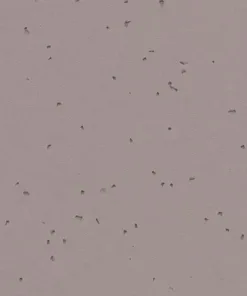 Forbo Homogeneous Vinyl Sphera Energetic
