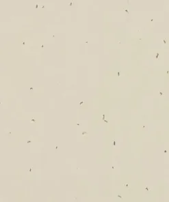 Forbo Homogeneous Vinyl Sphera Energetic