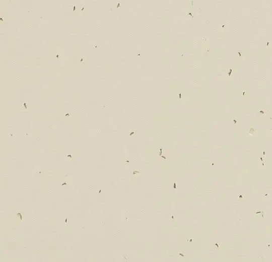 Forbo Homogeneous Vinyl Sphera Energetic