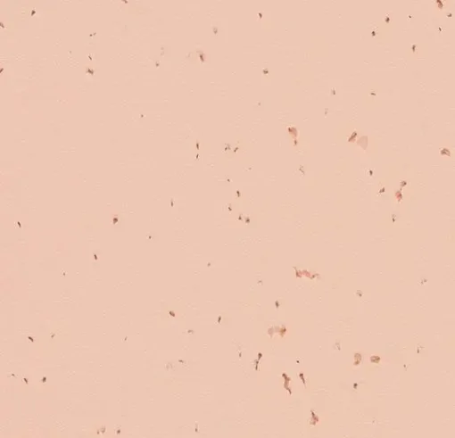 Forbo Homogeneous Vinyl Sphera Energetic