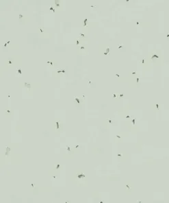 Forbo Homogeneous Vinyl Sphera Energetic