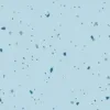 Forbo Homogeneous Vinyl Sphera Energetic