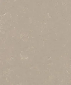 Forbo Linoleum Marmoleum Solid Concrete