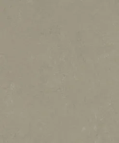 Forbo Linoleum Marmoleum Solid Concrete