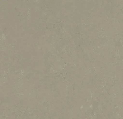 Forbo Linoleum Marmoleum Solid Concrete