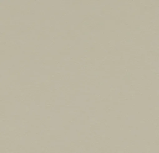 Forbo Linoleum Marmoleum Solid Walton