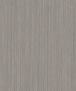 Interior Film -Metal RPE54