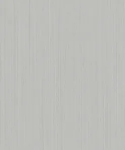 Interior Film -Metal RPE57