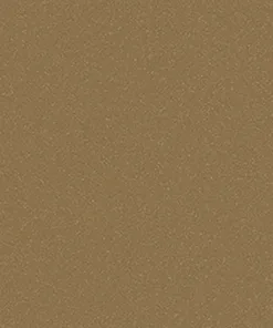 Interior Film -Metal RPE48