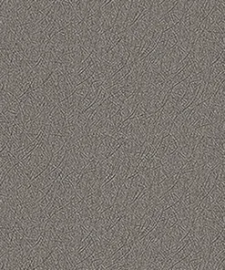 Interior Film -Metal RPE49